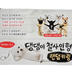 韓國超夯 魚干狗狗盲盒 10入端盒